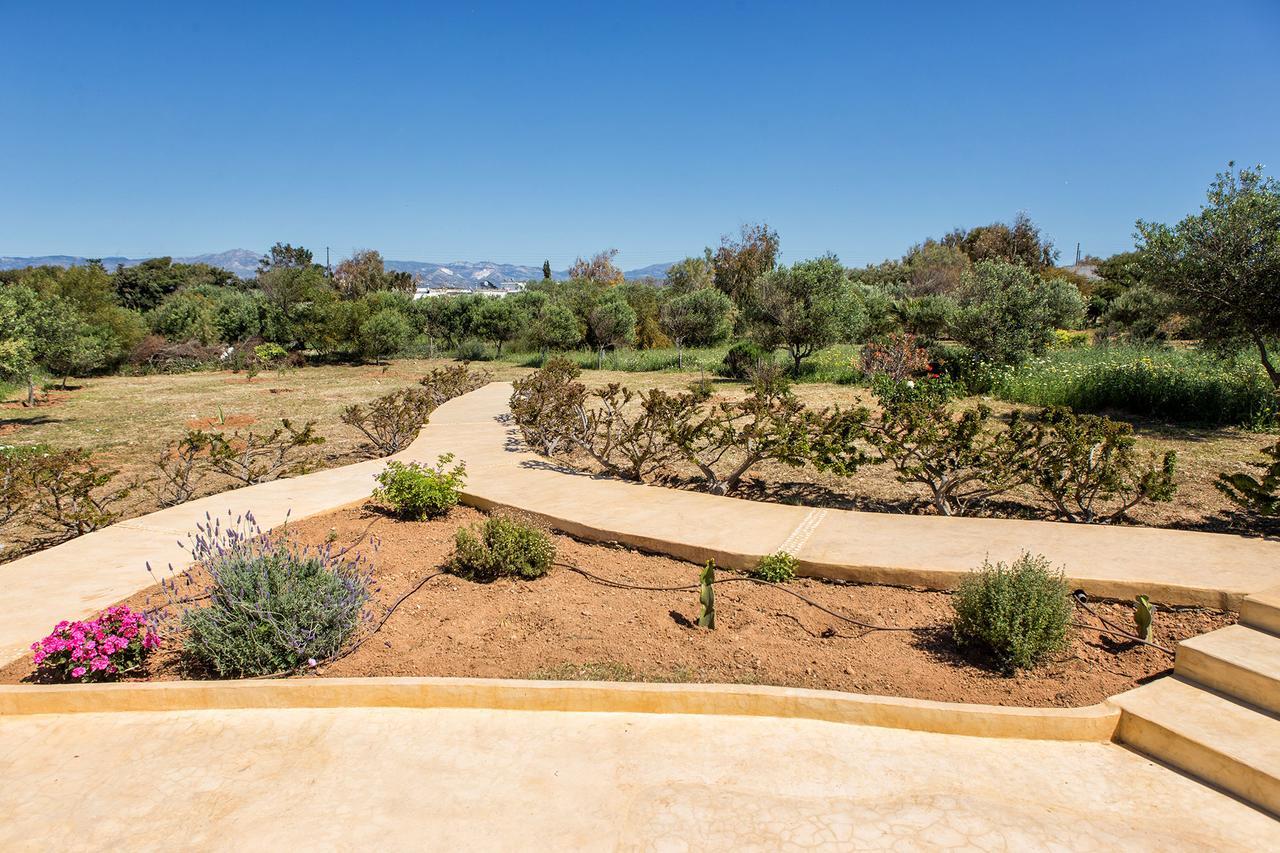 Villa Filizi - Filizi Naoussa Paros Santa Maria  Dış mekan fotoğraf